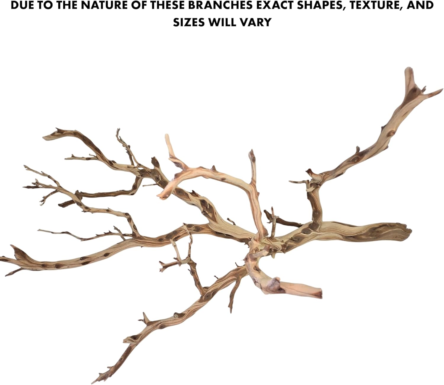 Koyal Wholesale California Driftwood with Natural Brown Branches, 36-Inch Large Driftwood Decor