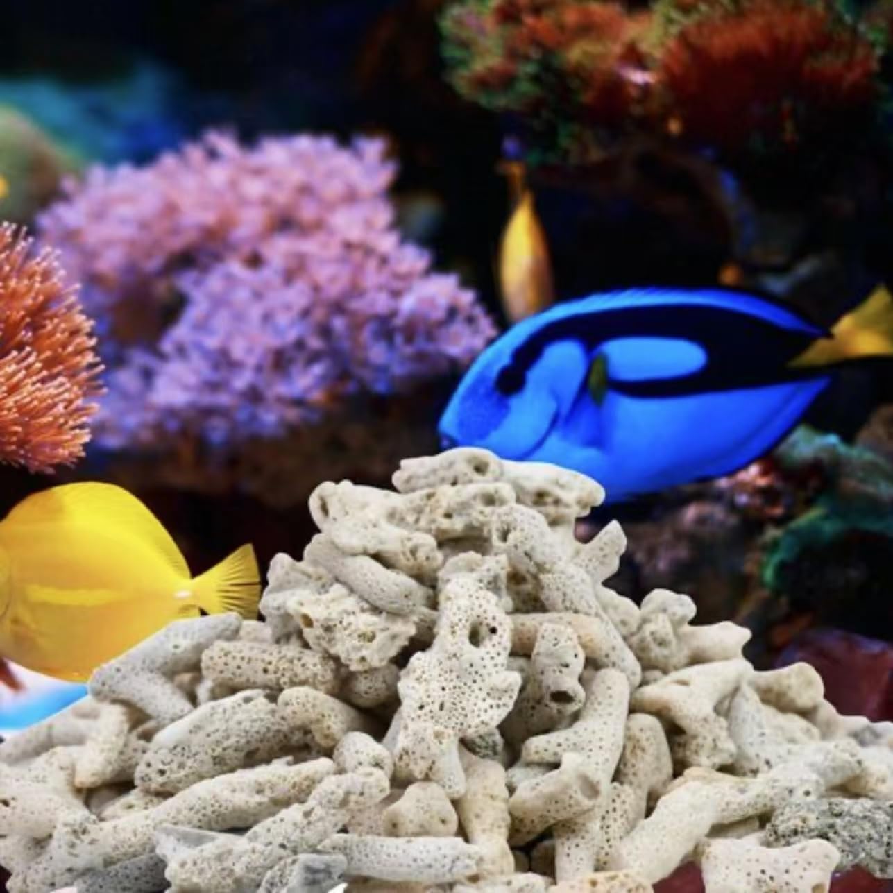 Crushed Coral Filter for Aquarium,Fish Tank Crushed Coral for Freshwater Aquarium Ph Aquarium Bio Filter Media Bag Reusable Aquarium Filter