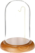 Plymor 4" x 7" Watch/Ornament Glass Display Dome