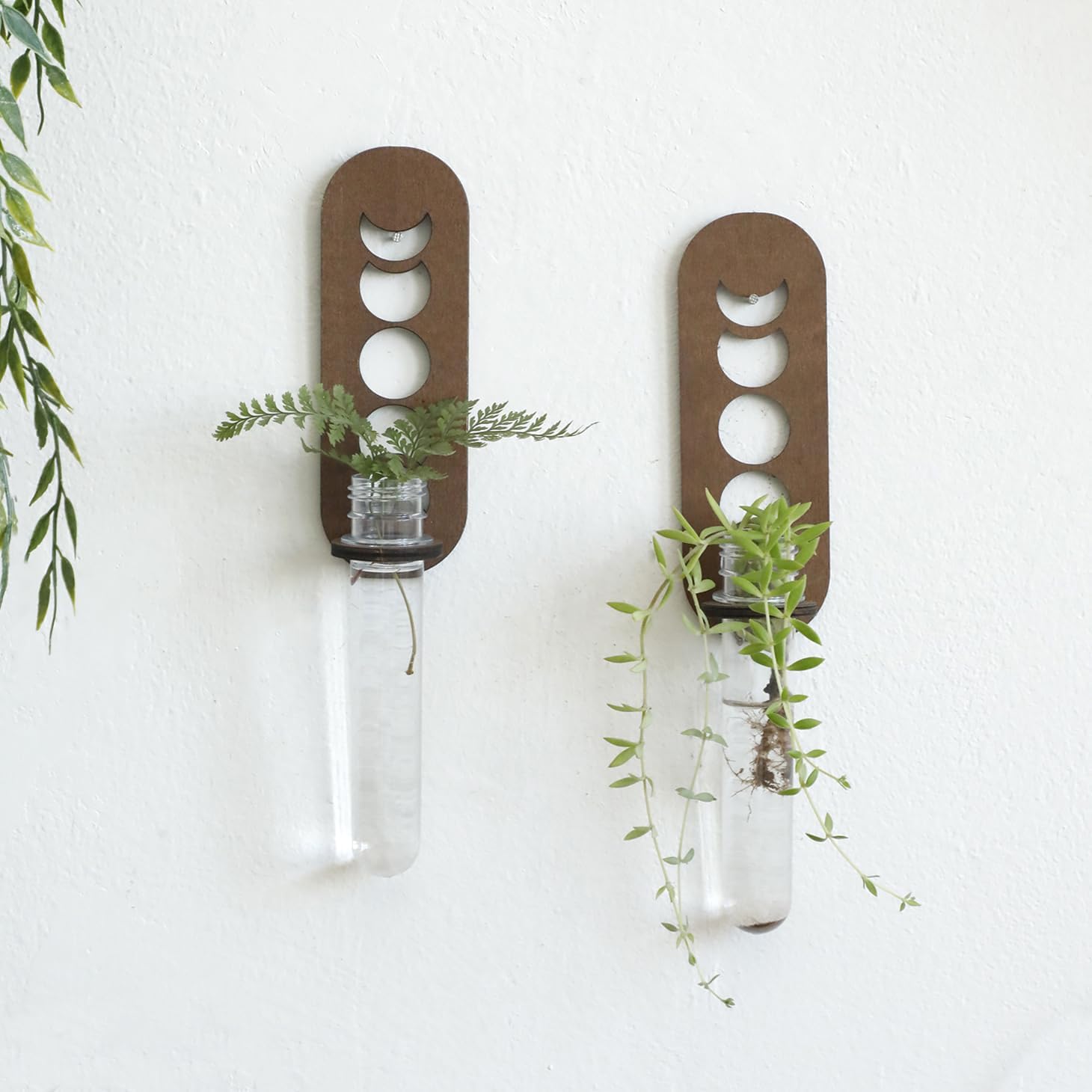 Artilady 2 Pack Plant Propagation Station Wall Hanging Wooden Moon Phase Plant Terrarium for Hydroponics Home Office Decor Test Tube Propagate Air Plant Cutting Holder