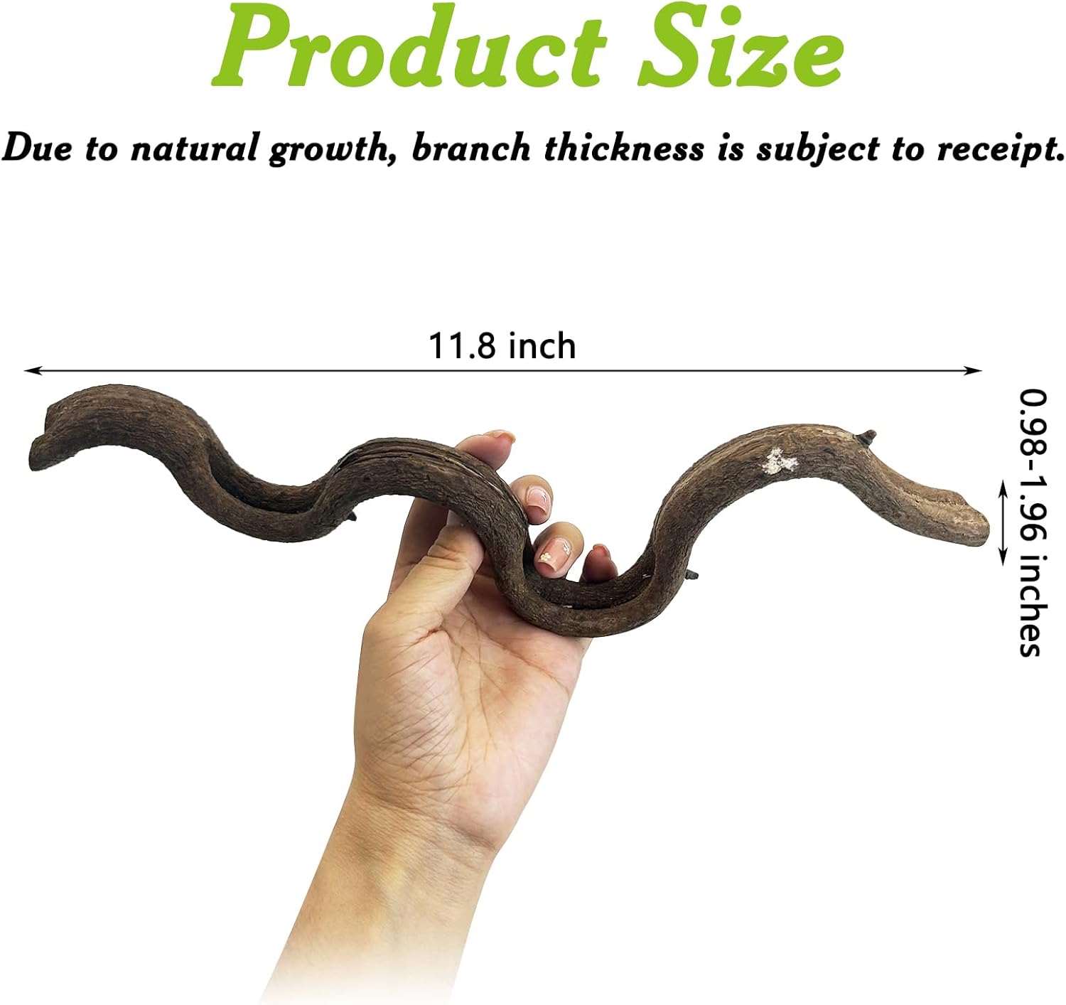 Reptile Branches for Climbing Natural Snake Climb Branch 4 Pack Wood Forest Tree Trunk Decor Lizard Habitat Terrarium Decorations for Bearded Dragon Geckos Chameleon Frog