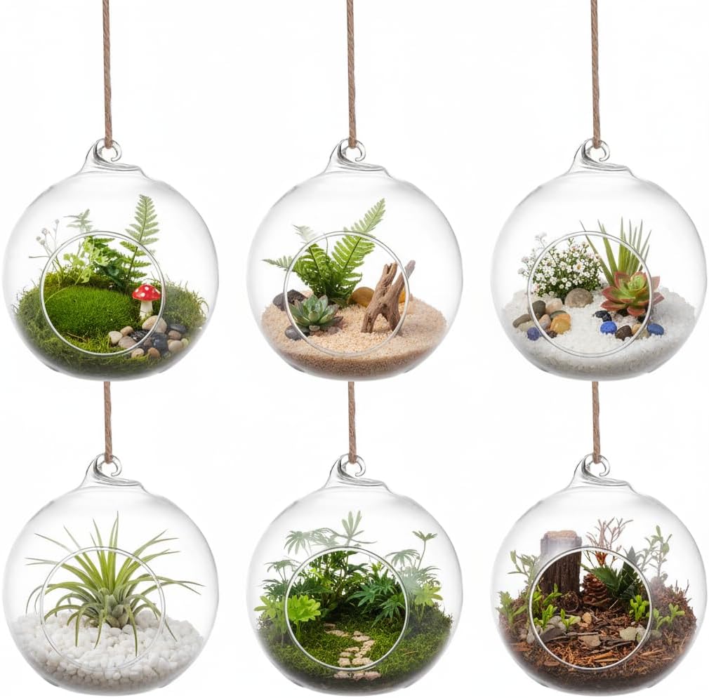 SUPVOX 6pcs Hanging Glass Terrarium Globes - 4 Inch Orb Air Plant Holders for Succulents, Moss & Tea Light Candles | Indoor/Outdoor Home Decor, Wedding Centerpieces, Mini Garden DIY (Clear)