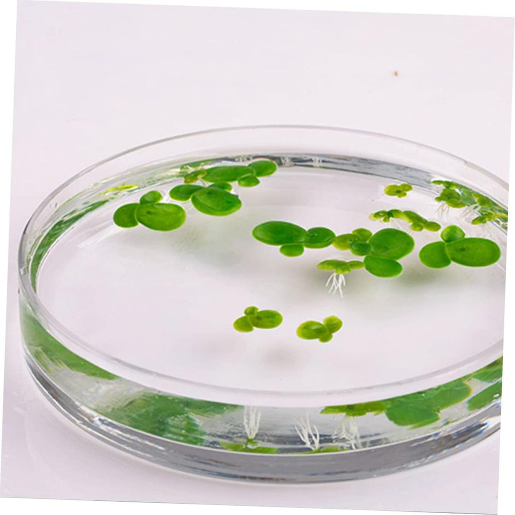Housoutil 18pcs Artificial Duckweed Leaves Duckweed Tank Accessories Aquatic Ornaments Terrarium Supplies Tank Floating Duckweed Leaf Plants Fake Floating Duckweed Aquarium Floating