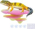 Mushroom Decor for Reptile Tank, Fish Tank, Pet-Safe Bearded Dragon Tank Accessories, Realistic Terrarium Plants for Crested Geckos, Frogs (Rainbow Trio Cap, Randomly Shipped from 3 Styles)
