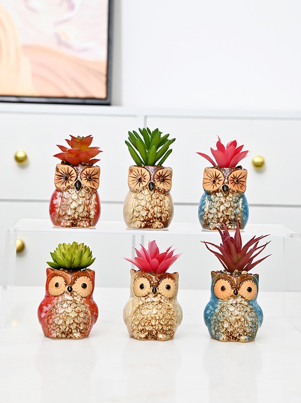 6 Pcs Mini 2.5 Inches Colorful Owl Pots, Little Ceramic Succulent Owl Planters with Drainage Holes