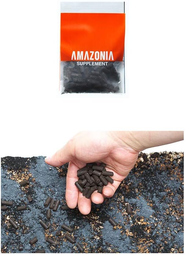 ADA Aqua Soil Amazonia Ver 2 (9L)