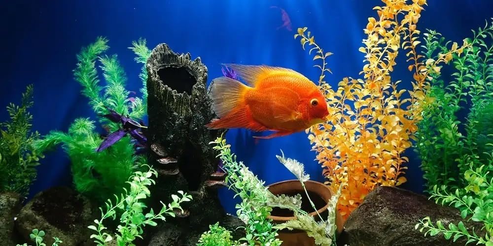 Artificial Dragon Stone Rock Formation, 12 Inches Tall Aquarium Fish Tank Ornament Decor, Aquascape Large Resin Boulder for Fish Tanks, Reptile & Aquatic Habitat Safe