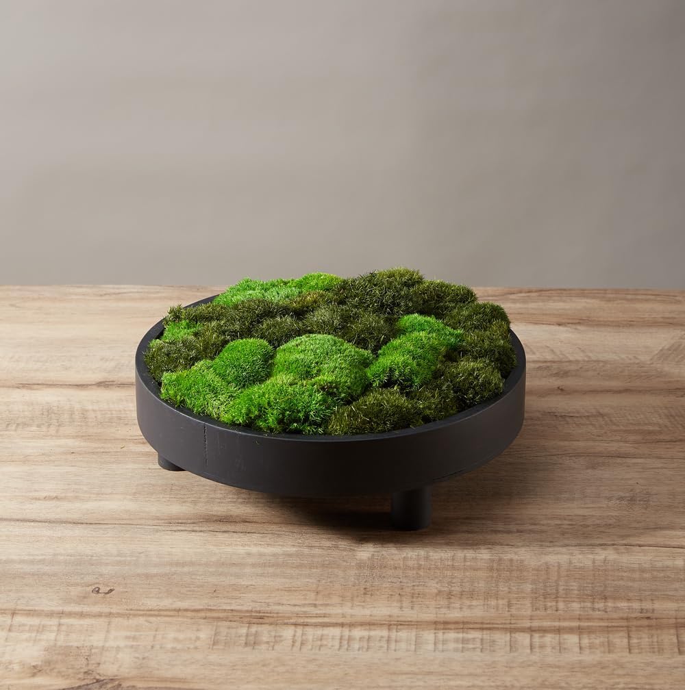 Large Natural Green Decorative Moss Reindeer Vase & Bowl Filler|Preserved Leaves, Ferns, Dried Plant Christmas Wedding Party Decor(Christmas-1)