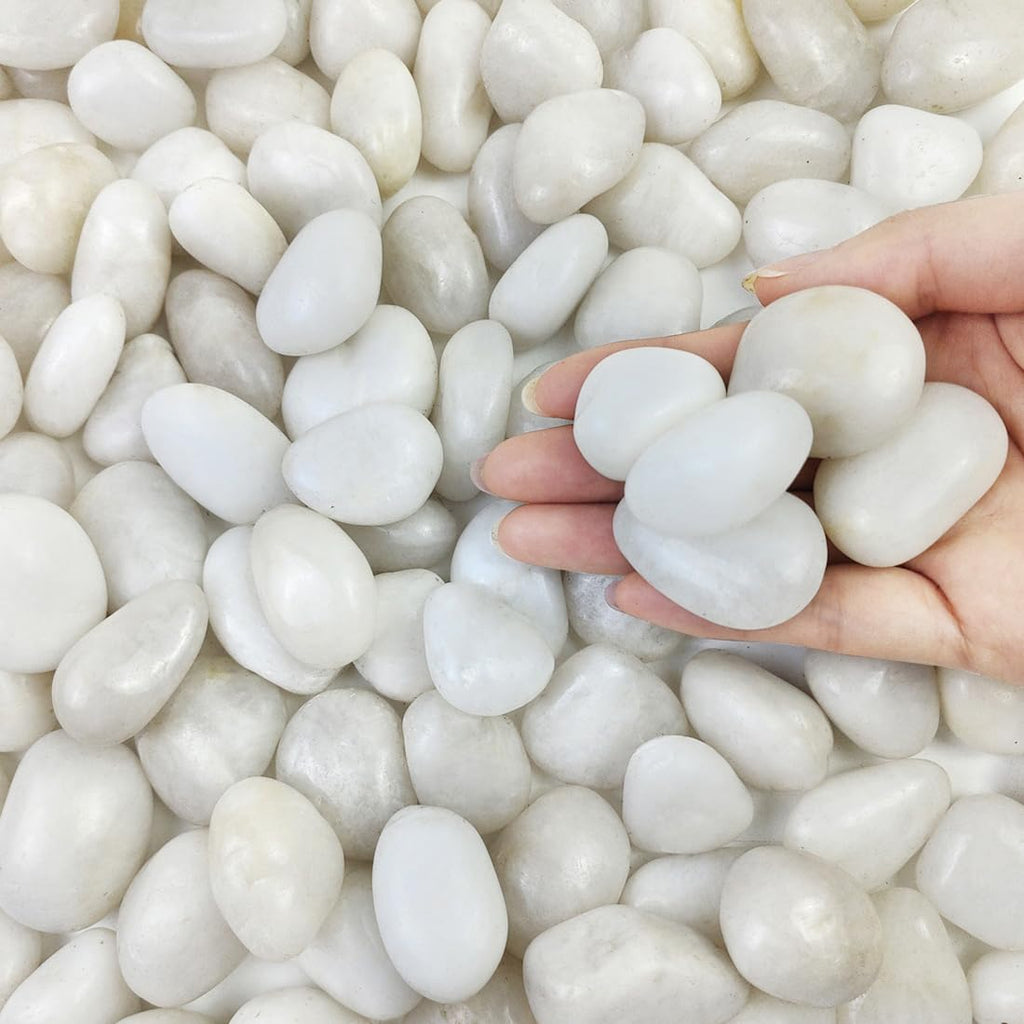 2 lbs Small White Pebbles for Plants, 0.8-1.2 inch Decorative River Rocks for Plants, Aquariums, Landscaping. White Stones for Planter Vase and Outdoor Garden Rocks