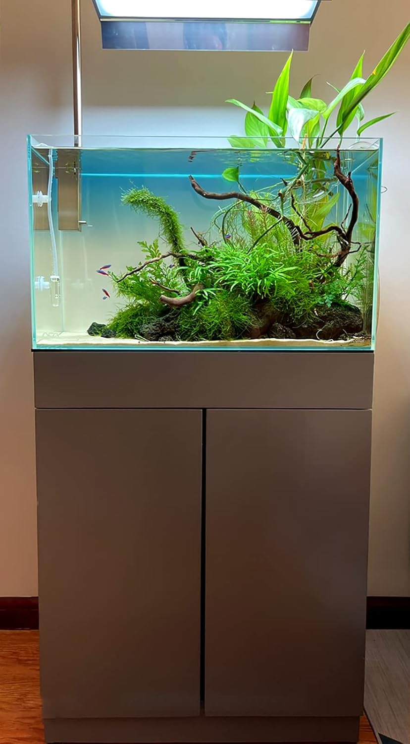 Ultra Clear Rimless Aquarium Tank 6-60 gallons Low Iron Glass (21Gal - Top Glass Canopy)