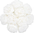 U'Artlines Artificial Peony Silk Flower with Stems 10pcs Real Look Vintage Peonies for Home Wedding Decoration(Pure White)