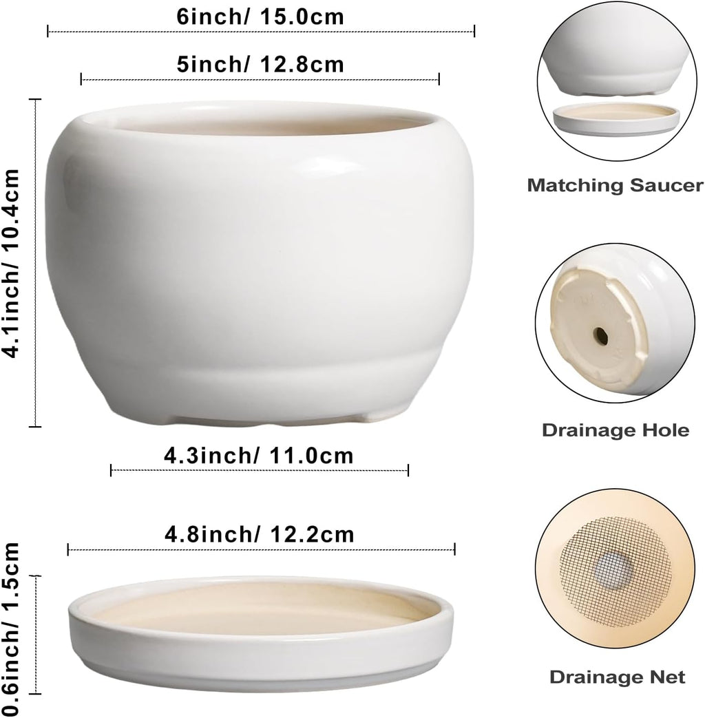 SQOWL Ceramic Flower Pots - 6 Inch Plant Pot Indoor Outdoor, Ceramic Planter with Drainage Hole and Saucer, Modern Round Succulent Planter, Bookshelf Decor, House Warming Gifts New Home, White