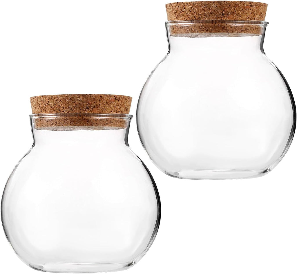 BESPORTBLE Glass Terrarium with Lid: Small Terrarium Jar with Lif, Small Terrarium Containers, Round Glass Jars with Cork