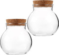 BESPORTBLE Glass Terrarium with Lid: Small Terrarium Jar with Lif, Small Terrarium Containers, Round Glass Jars with Cork