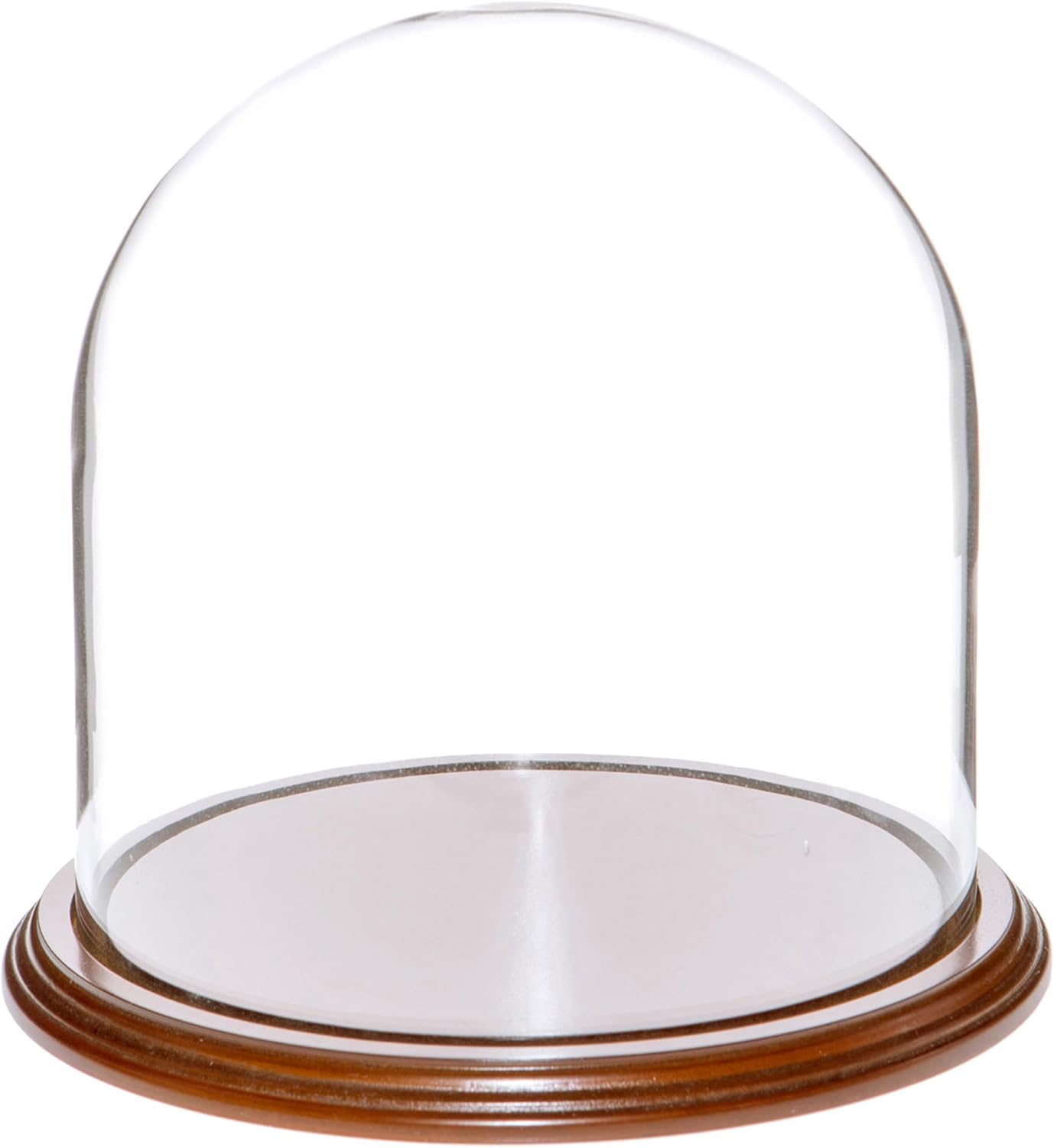 Plymor 8" x 8" Glass Display Dome Cloche (Walnut Veneer Base)