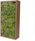 Preserved Reindeer Craft Moss-17.6oz Natural Green DIY Kit Gardenning Art Wall Florist Moss Terrariums Gardenning Decor Landscape Garden Decor(Shallow Green 17.6 OZ)