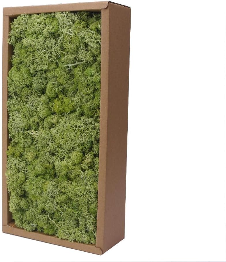 Preserved Reindeer Craft Moss-17.6oz Natural Green DIY Kit Gardenning Art Wall Florist Moss Terrariums Gardenning Decor Landscape Garden Decor(Shallow Green 17.6 OZ)