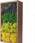 Preserved Moss-1.1lb 4 Color Mix Pack Reindeer Craft Moss, Green Moss Artificial Moss Suitable for Flowerbeds, Crafts, Home Office Artistic Decoration(Green Tones-4)