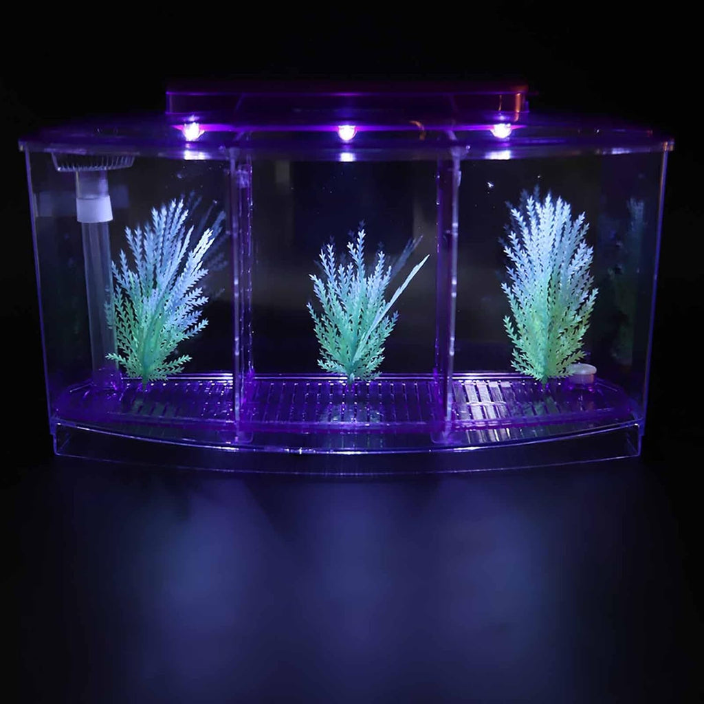 Small Fish Isolation Fish Tank, LED Acrylic Aquarium Fish Tank, Transparent Fish Isolation Box with 2 Isolation Plates for Small Fishes Betta Shrimp Guppy (Lightpurple)