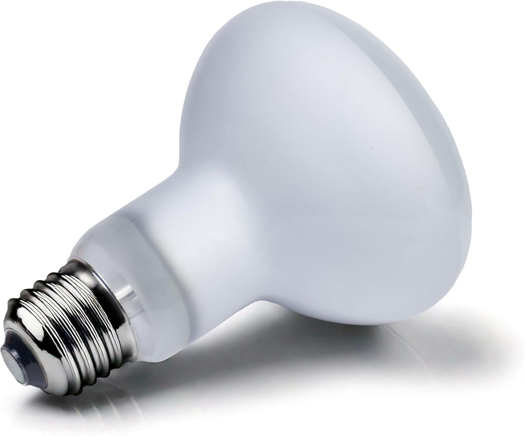 24 Nha&FACA 100W Reptile Heat Lamp Bulbs – 100 Watt Basking Bulbs for Reptiles, Bearded Dragon, Lizard, Turtle, Snake – Daylight Heat Light Bulb for Reptile Tank, Amphibian Terrarium (1 Pack)