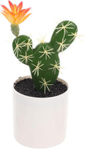 HOMSFOU Simulation Cactus Small Fake Cactus Lifelike Decor Suculentas Pot Faux Succulents Potted Fake Artificial in Pot Desktop Bonsai Small Bonsai Potted Model Mini Plastic Fake Succulent