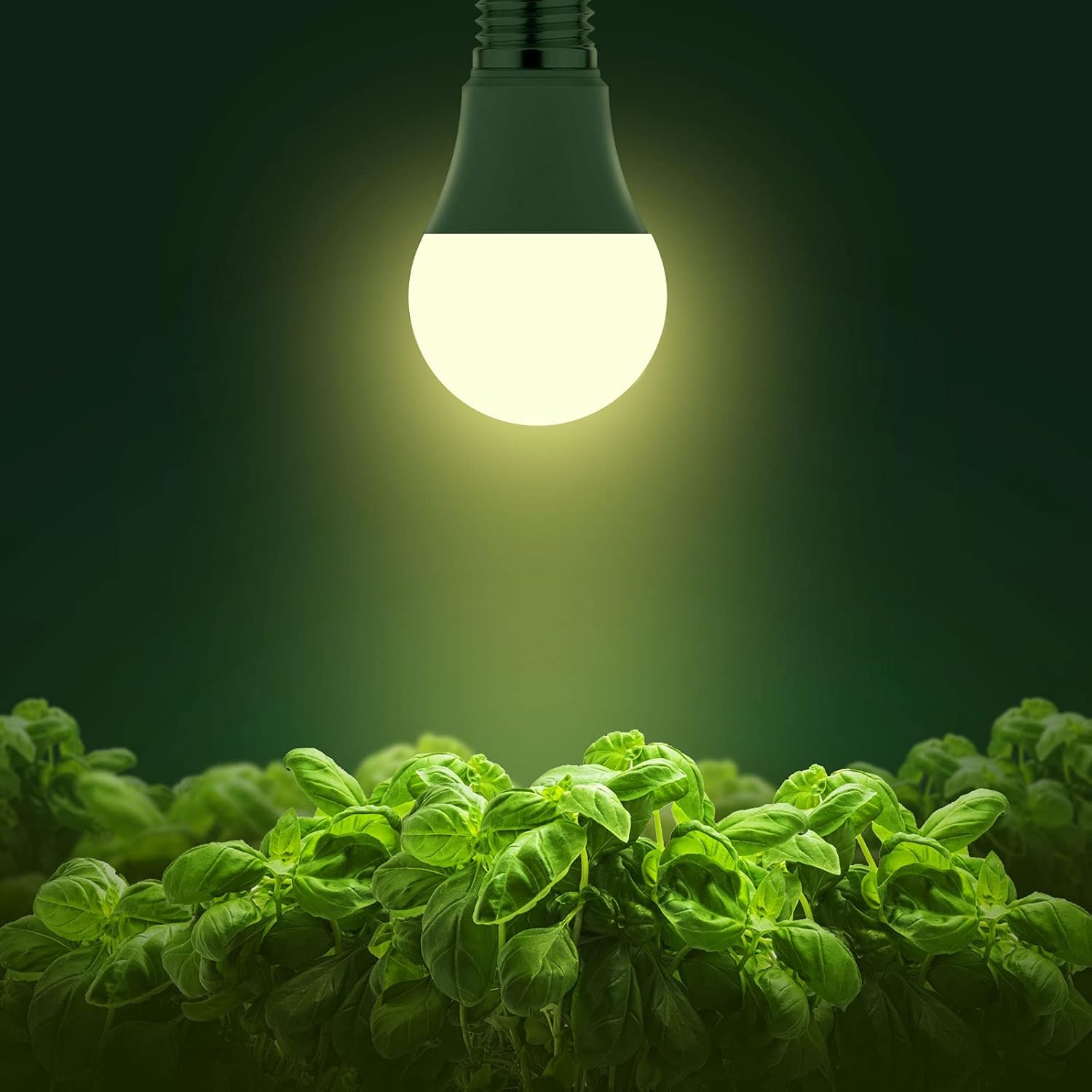 Briignite LED Grow Light Bulbs, Full Spectrum, Plant Light Bulbs E26 Base, 11W, 100W Equivalent, 3Pack