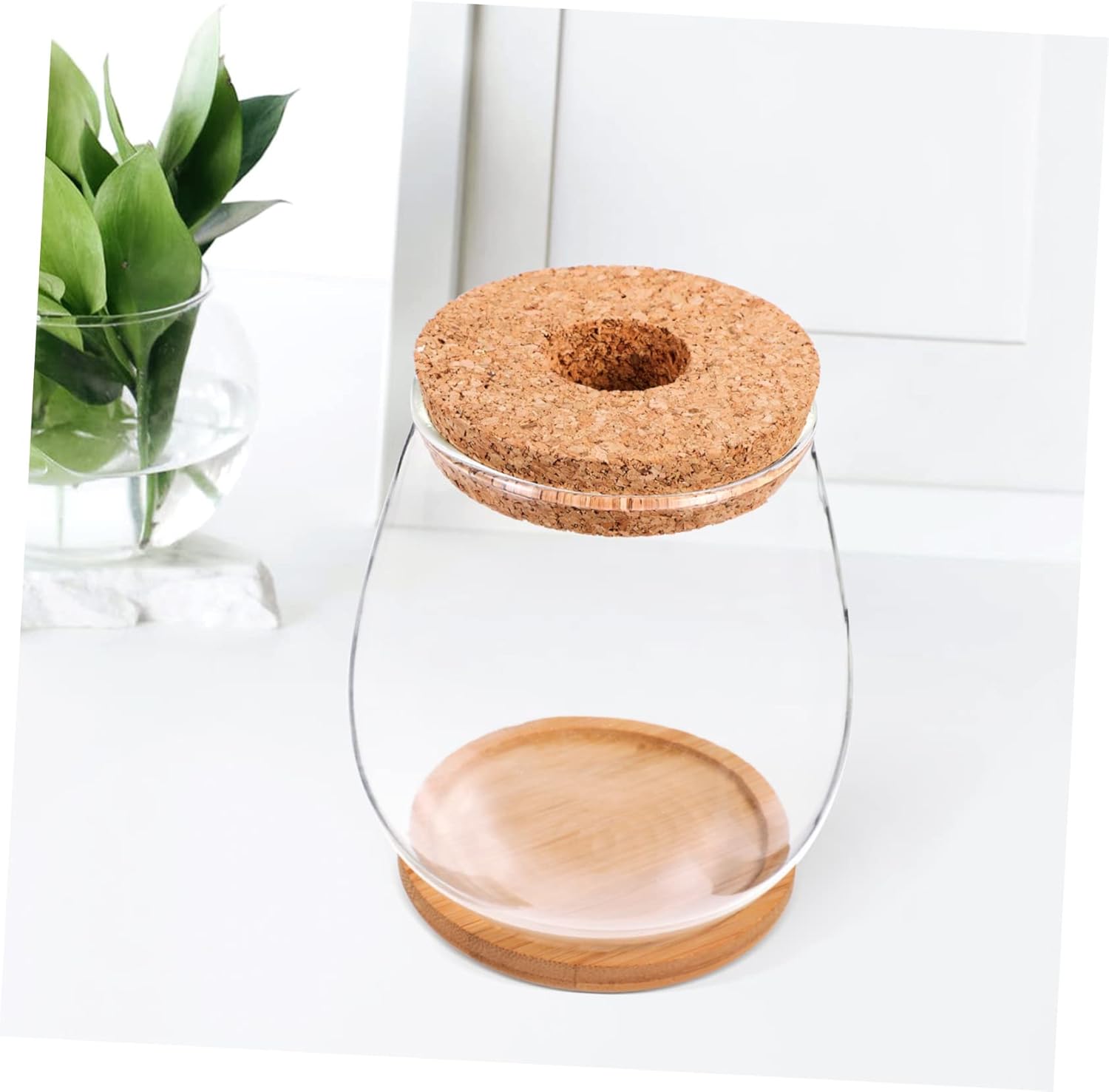 Milisten 1 Set Hydroponic Glass Vase DIY Cork Bottle Micro Landscape Bottle Coral Jar Aquarium Glass Terrarium Cork Planter Terrarium Dill