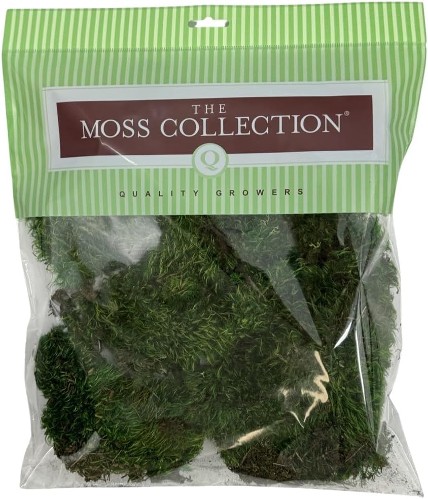Preserved Mood Moss - Decorative Moss - Dried Moss for Crafts, Home Decor, Art, Design & DIY Projects - for Indoor Use - Natural Green - Medium Size