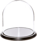 Plymor 8" x 8" Glass Display Dome Cloche (Black Wood Veneer Base)