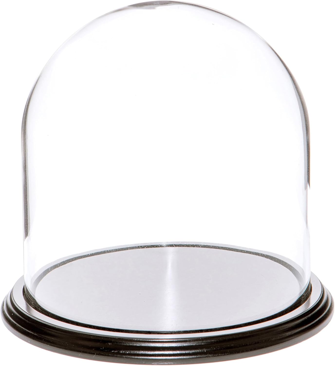 Plymor 8" x 8" Glass Display Dome Cloche (Black Wood Veneer Base)