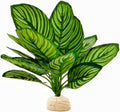 Reptile Terrarium Decor,Amphibian Habitat Decor,Artificial Plants for Crested Gecko Tank Accessories Suitable for Leopard Gecko Bearded Dragon Lizard Chameleon Snake Tortoise (Calathea makoyana-D)