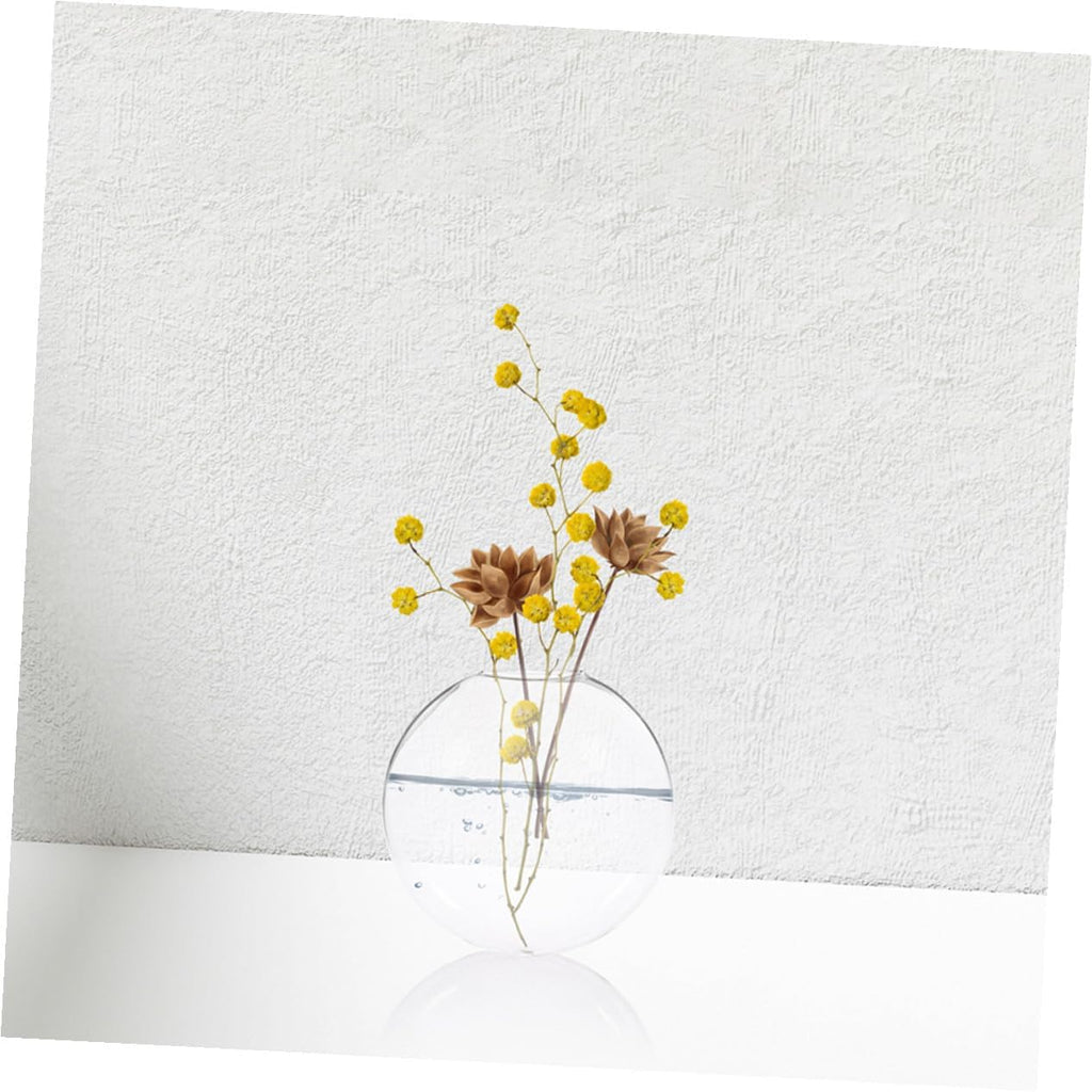 2pcs Clear Glass Wall Vases for Hydroponic Plants Transparent Hanging Terrarium Bowls with Wallmount Design Space-Saving Decorative Containers for Indoor Root Display and Easy