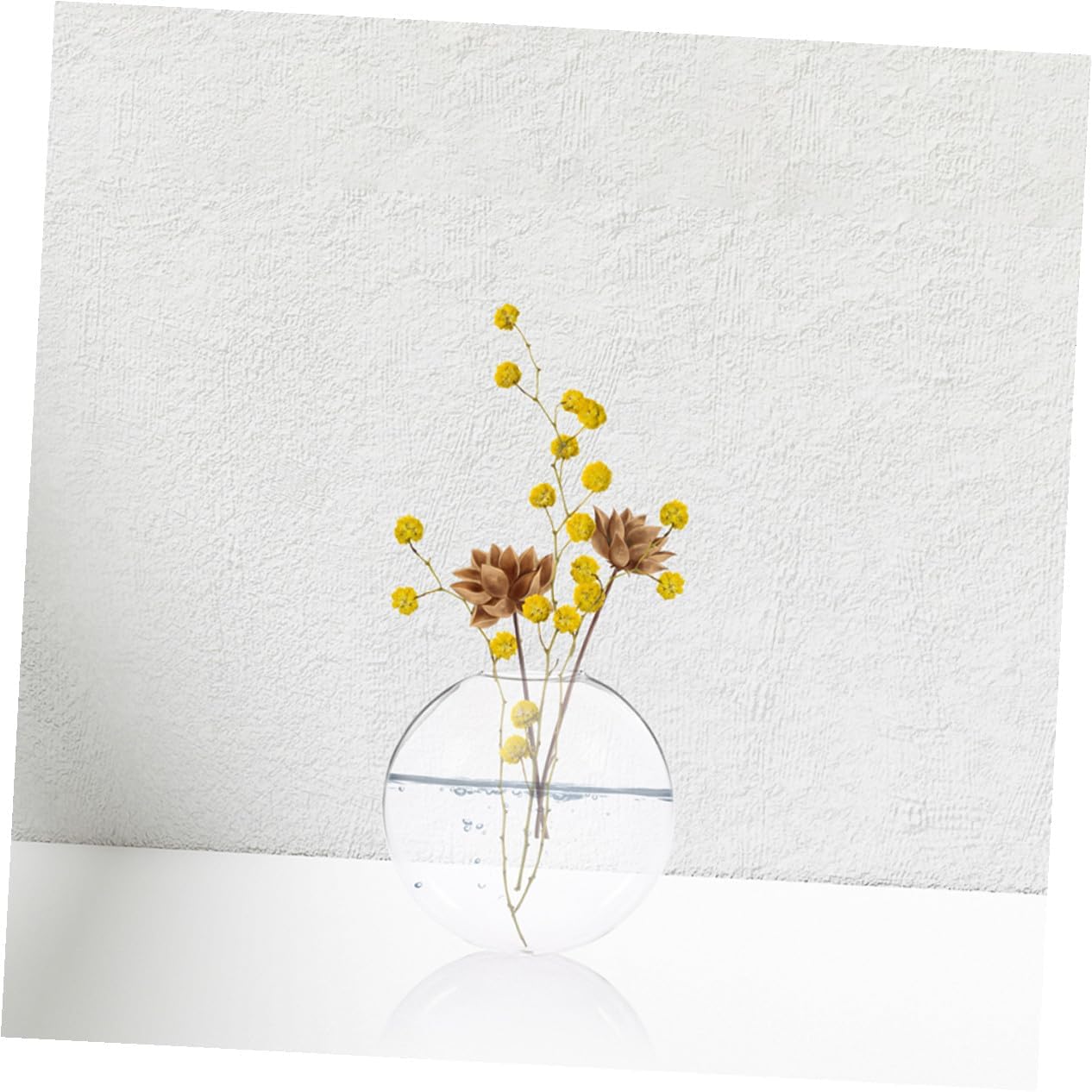 2pcs Clear Glass Wall Vases for Hydroponic Plants Transparent Hanging Terrarium Bowls with Wallmount Design Space-Saving Decorative Containers for Indoor Root Display and Easy