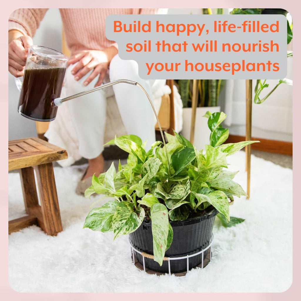 Instant Plant Support | Soil ProBiotics & Mycorrhizae for Houseplants and Indoor Gardens | No Odor - No Dust - No Mess | Package of 4 Tablets