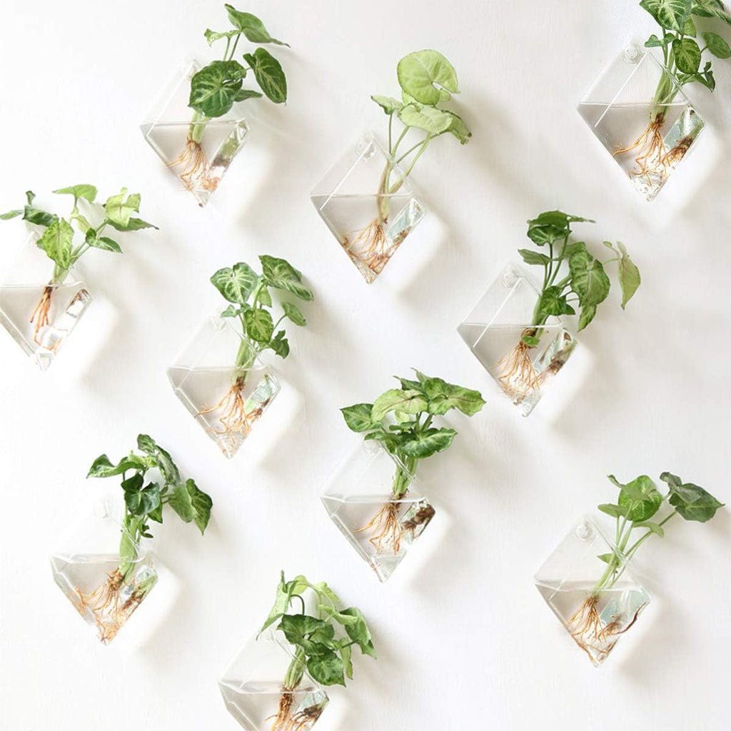 Kingbuy 4 Pack Diamond Shape Hanging Glass Planters for Succulents & Air Plants Holder Wall-Mounted Terrarium Vases with Propagation Station Hydroponic Wall Decor for Indoor Home