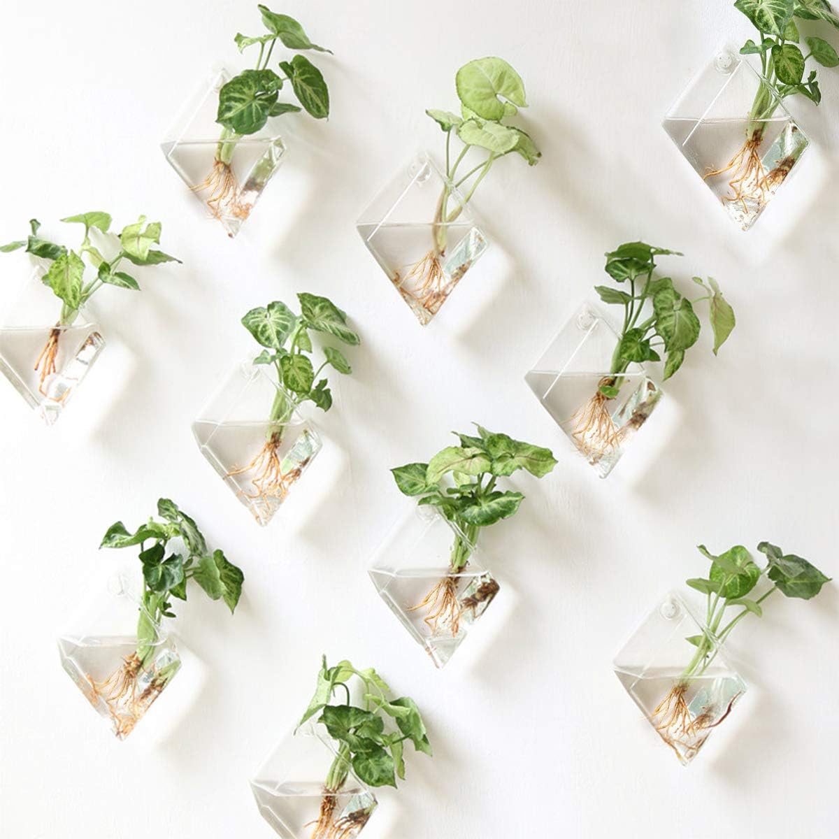 Kingbuy 4 Pack Diamond Shape Hanging Glass Planters for Succulents & Air Plants Holder Wall-Mounted Terrarium Vases with Propagation Station Hydroponic Wall Decor for Indoor Home