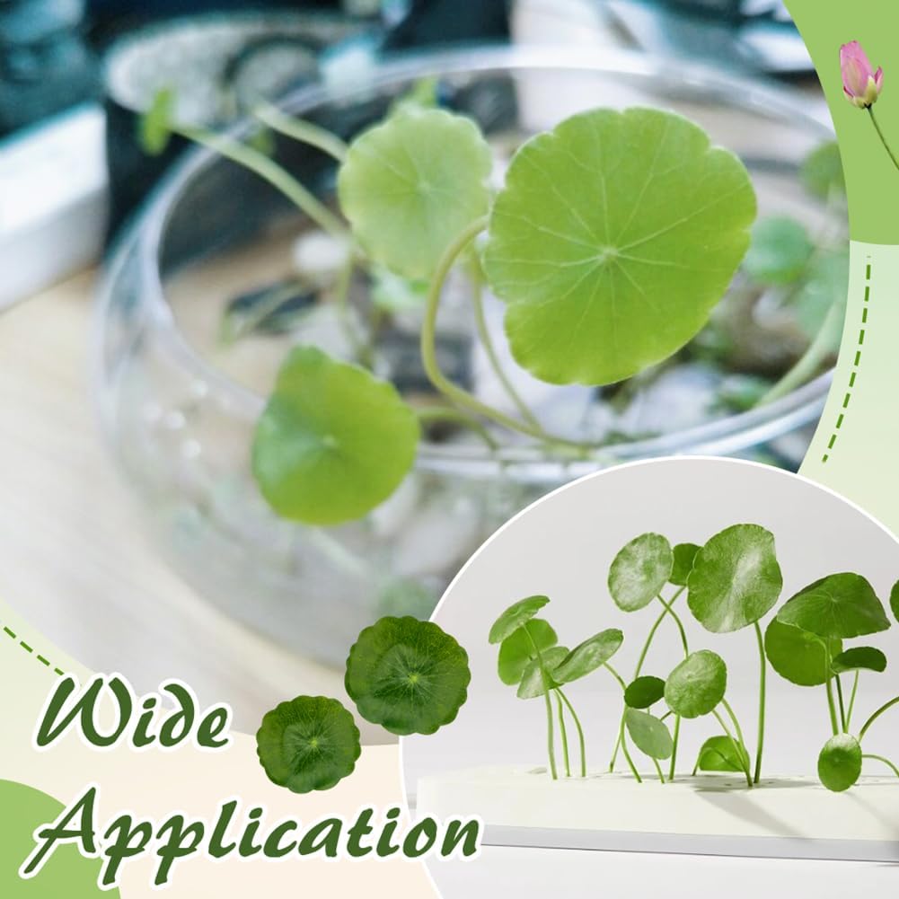 30PCS Artificial Water Lily Leaves,Small Realistic Floating Water Lily Pads, Pond Plant Lotus Leaves Suitable for Fish Tank,Terraces,Pool,Aquarium Decoration(2.32inch)