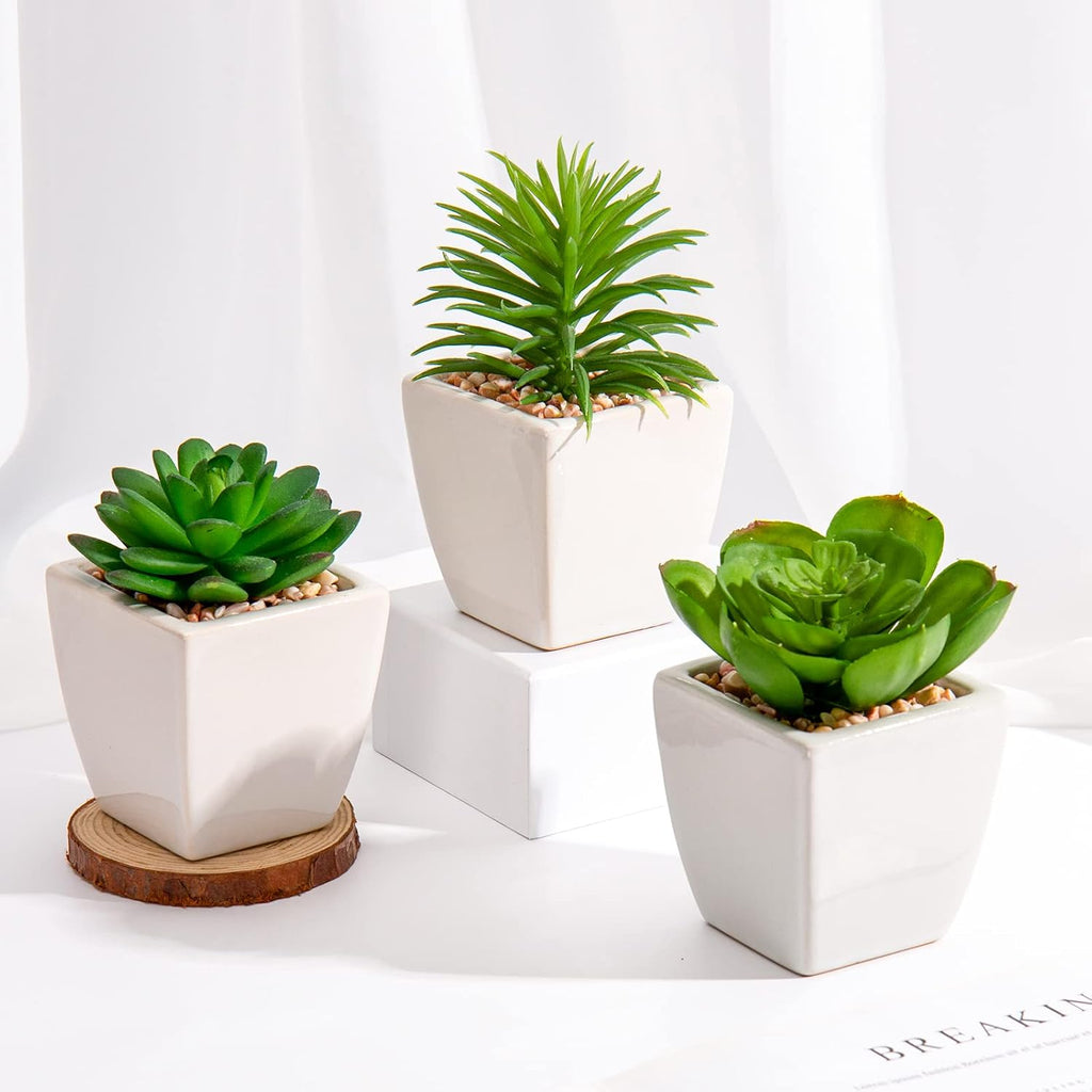 Briful 3PCS Fake Succulents for Farmhouse Tiered Tray Decor Smaller Artificial Potted Plants Faux Plants Indoor Bookshelf Decor House Plants Tabletop Decor in White Ceramic Pot