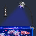 fishkeeper Clip On 24/7 Saltwater Aquarium LED Light, 8W Reef Lights for Coral DIY Color/Brightness Fish Tank Light with Timer for Coral Marine Tank Memory Function
