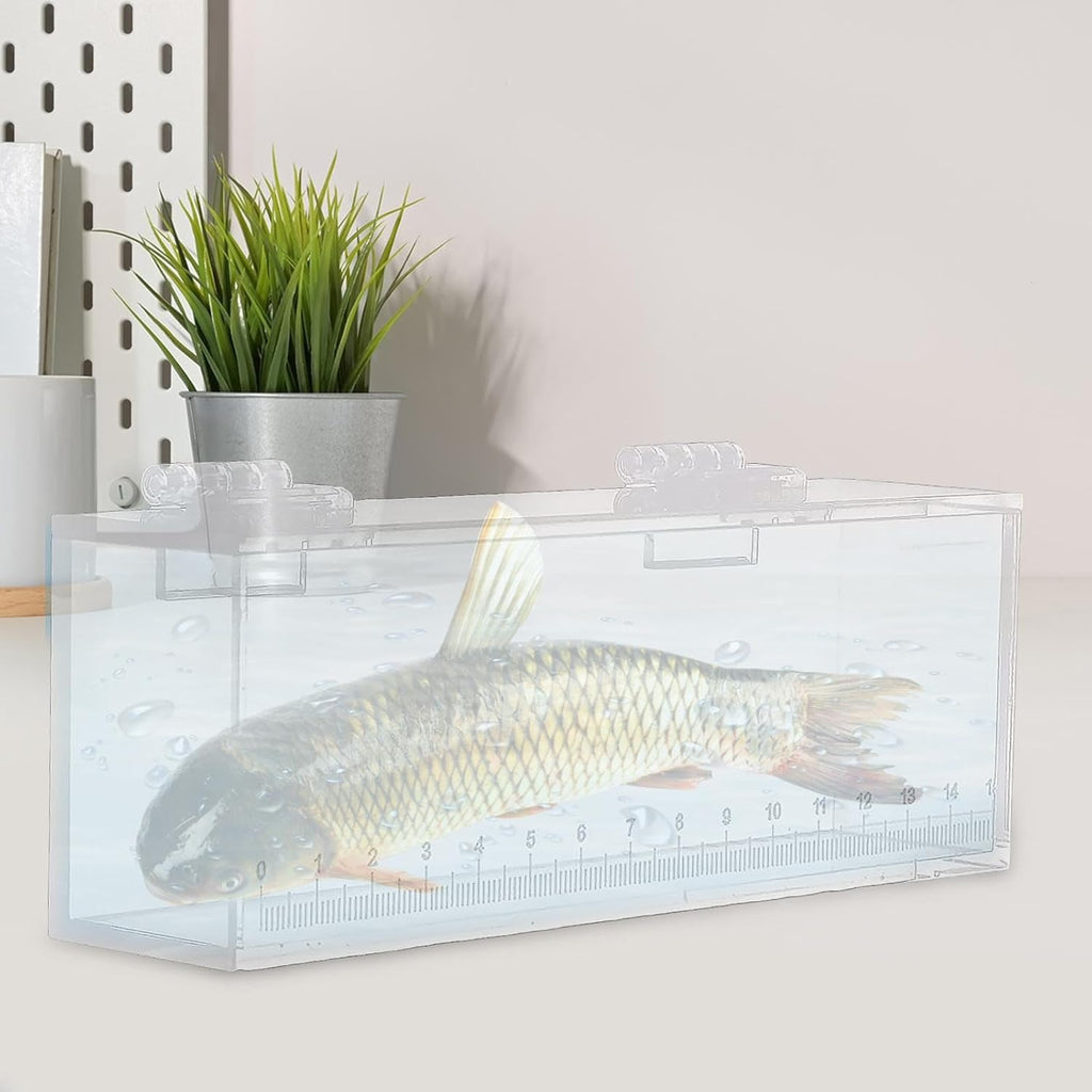 Gazechimp Fishing Photo Tank Fish Viewing Box Acrylic Hatching Incubator Clear Micro Landscape Fish Tank Fish Breeder Isolation Breeder Box with Scale, L