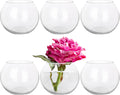 Set of 6 Clear Glass Vases, 4.7” W x 3.5” H, Round Candle Holders, Bubble Bowl, Flower Vases with Sponge Brush, Decorative Centerpieces for Wedding Home Decor