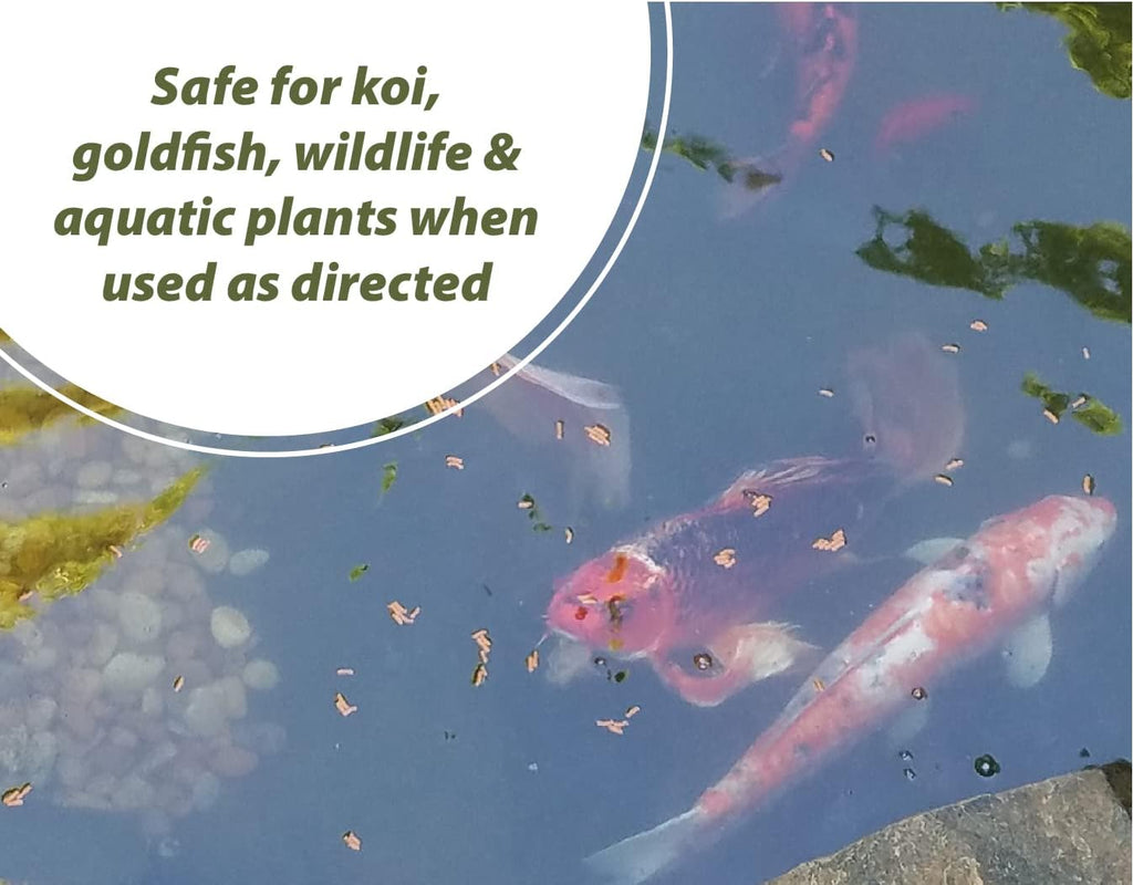 Bloom Buster Algae Control for Fish Ponds & Water Gardens - 8 Ounces - Safe for Koi Fish, Goldfish & Plants - Controls Algae in Ponds & Water Features, EPA Registered