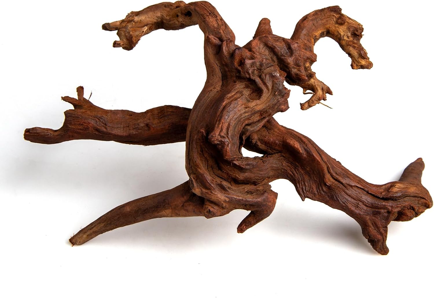 emours Aquarium Driftwood, 2 Pieces, Natural Mopani Style Branches, Low-Tannin & Smooth Edges, Sink Faster After Soak, Tie Moss Easily, for Planted/Shrimp/Betta Tanks (Small (8–12 in / 20–30 cm))