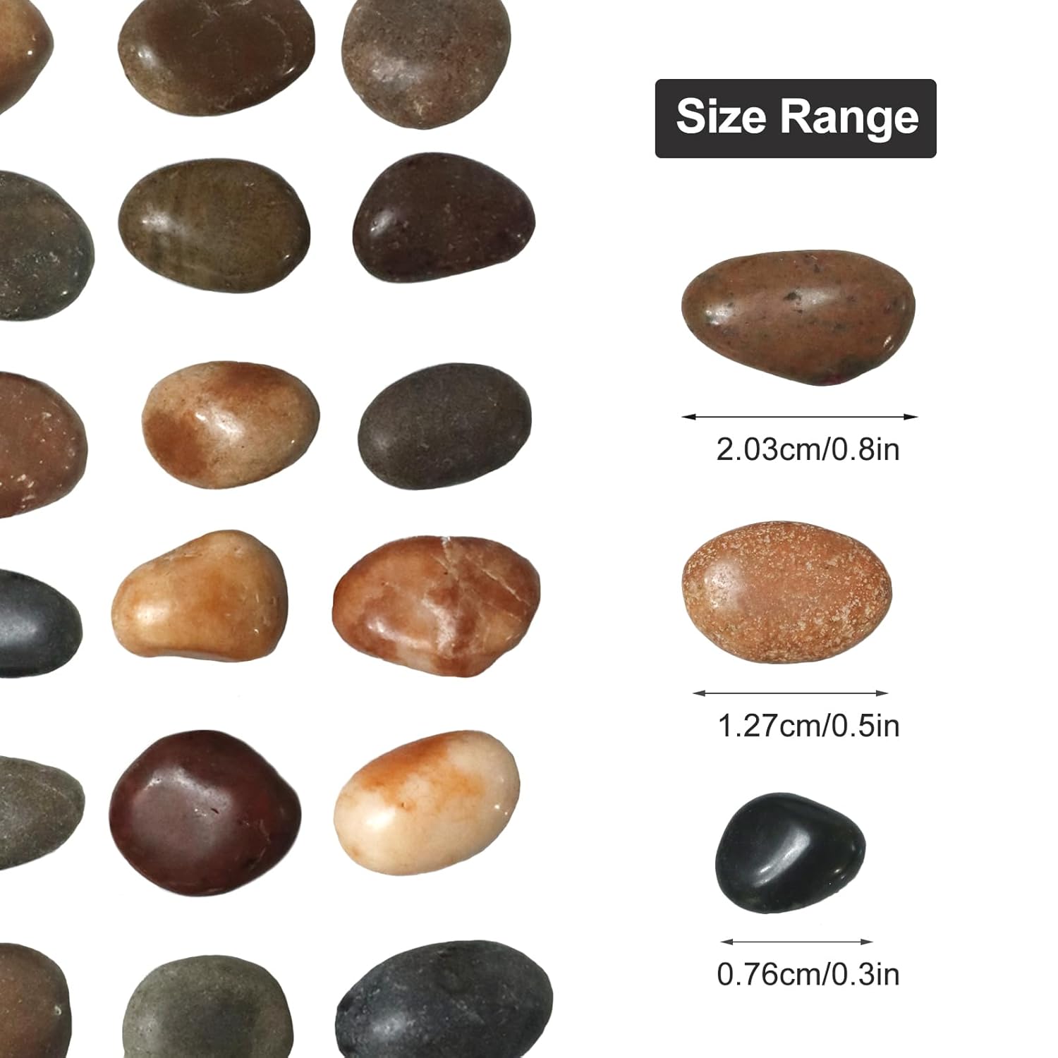 5Ib Rain Forest River Rock-Decorative Stones-Pebbles for Indoor Plants-Rocks for Outdoor Landscaping- 0.3"-0.8" inch High Polished Stones for Fish Tank, Terrarium,Vases, Home Decor