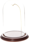 Plymor 4.5" x 8" Watch/Ornament Glass Display Dome Cloche (Dark Mahogany Veneer Base & Gold Wire)