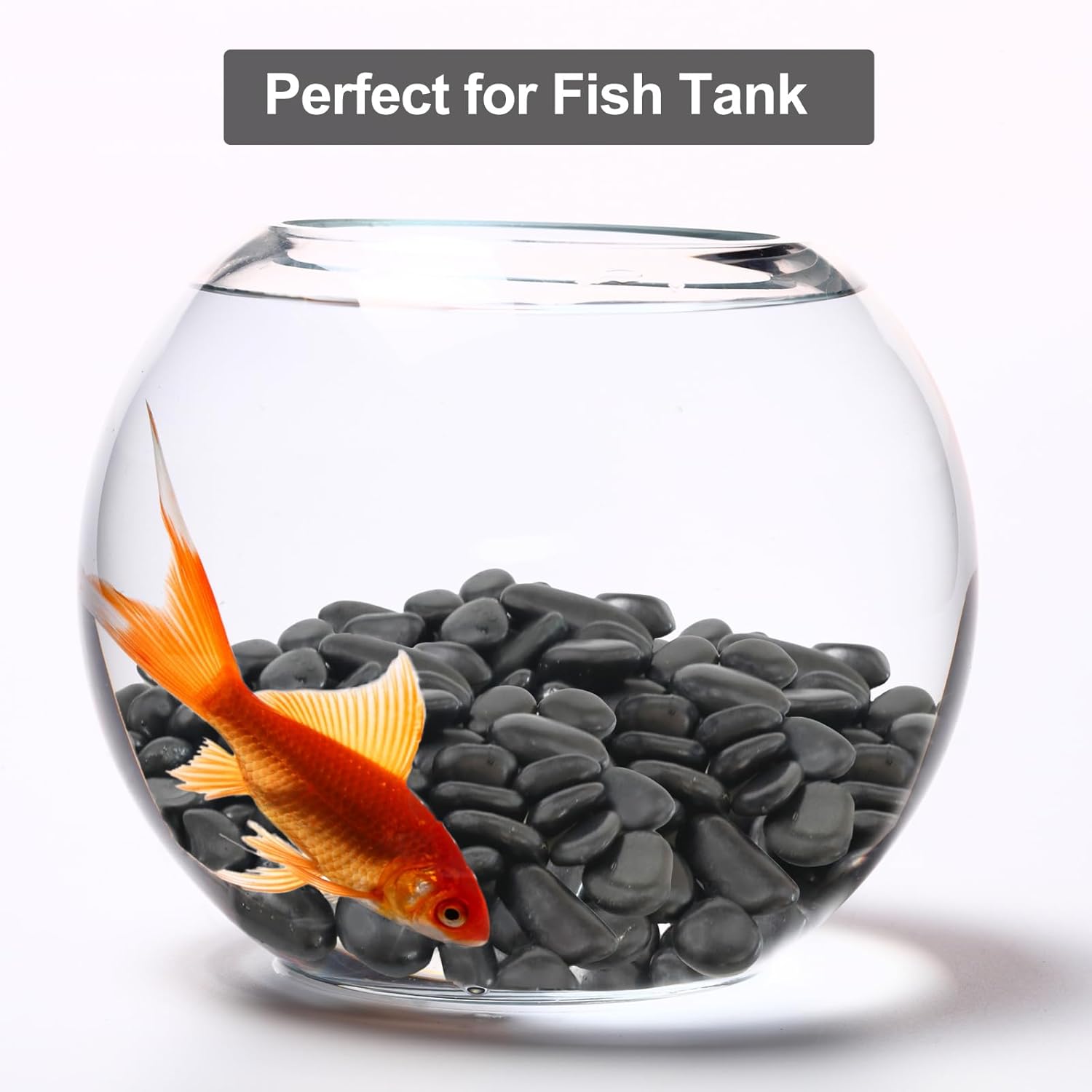 5Ib Black River Rock-Decorative Stones-Pebbles for Indoor Plants-Rocks for Outdoor Landscaping- 0.3"-0.8" inch High Polished Stones for Fish Tank, Terrarium,Vases, Home Decor