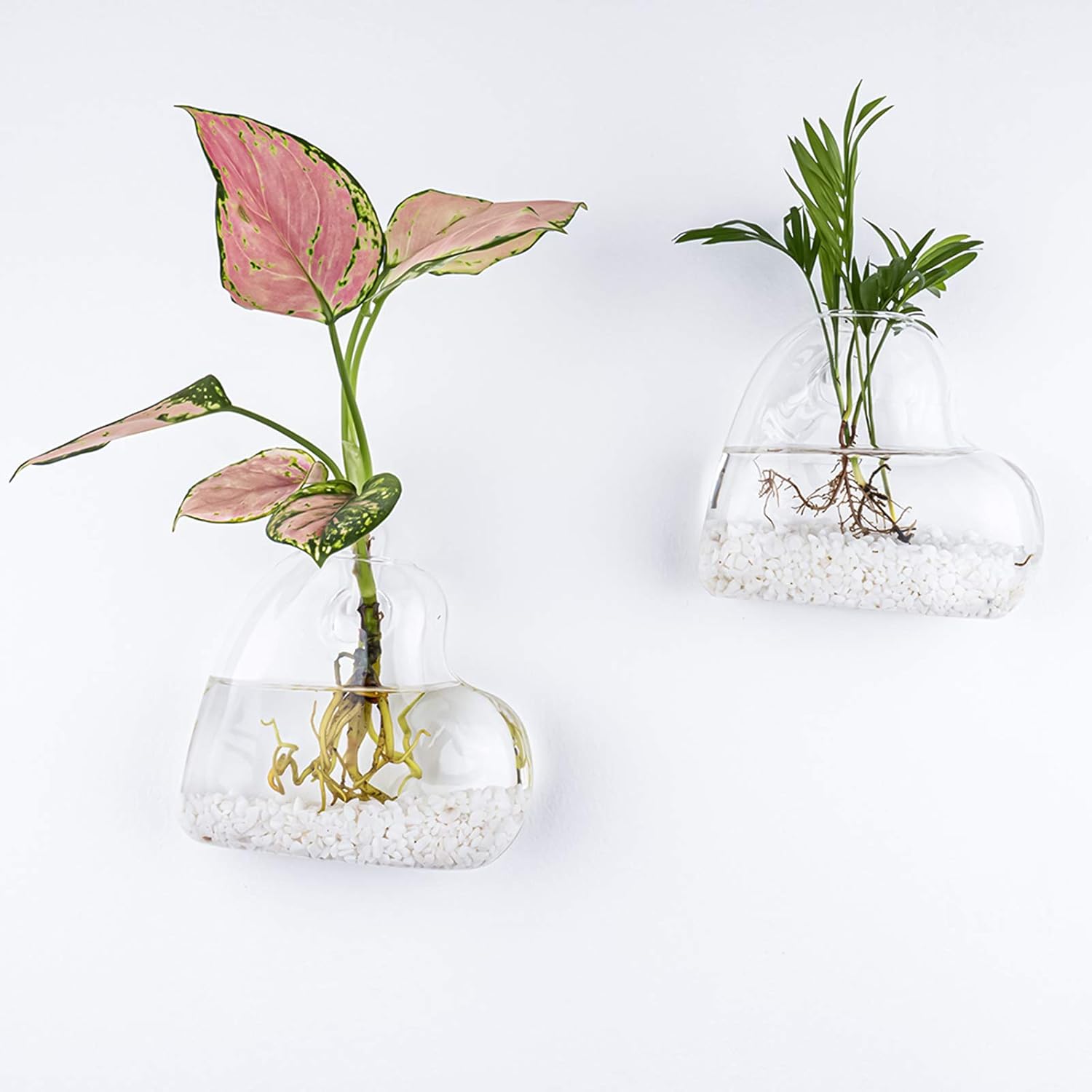 Kingbuy Wall Hanging Glass Planter Terrarium Plant Propagation Station Heart Shape Vase for Planting Hydroponic Water Plants Home Office Garden Decor Gift, 2 Pack