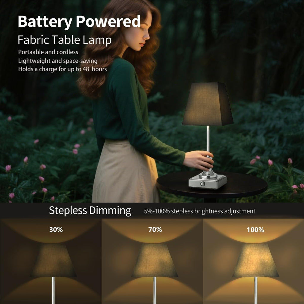 Rechargeable LED Table Lamps with Stepless Touch Control,Light Sliver Cordless Lamp for Living Room&Bedside&Patio&Shower,Small Desk Lamp(6000mAH Battery),1 Pack for Home Decor,Best Gifts for Family