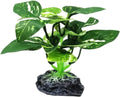 JGbaby Artificial Aquarium Plants,Fish Tank Decorations Betta Leaf Hammock 4in Realistic Silk & Plastic Plants, Hideout Decor for Betta. Goldfish,Reptiles,Small Tanks (Green Type-D)