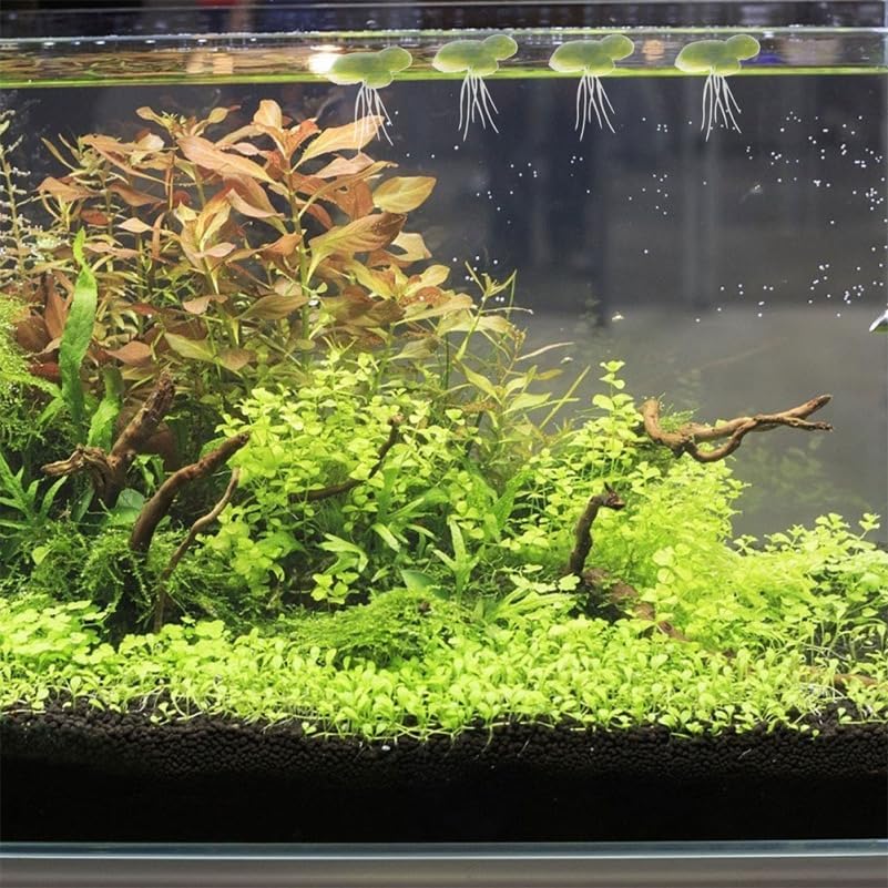 Amosfun 54pcs Fake Duckweed Aquarium Floating Plants Mini Light Green Floating Fish Plants Aquarium Tank Decor 1.57x1.57x3.54 Inch